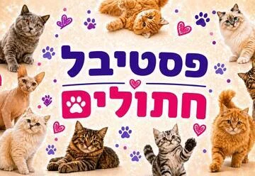 פוסטר פסטיבל חתולים לכל המשפחה - תערוכת חתולים מגזעים שונים, גורי חתולים, אזור אינטראקציה ומופע בועות סבון